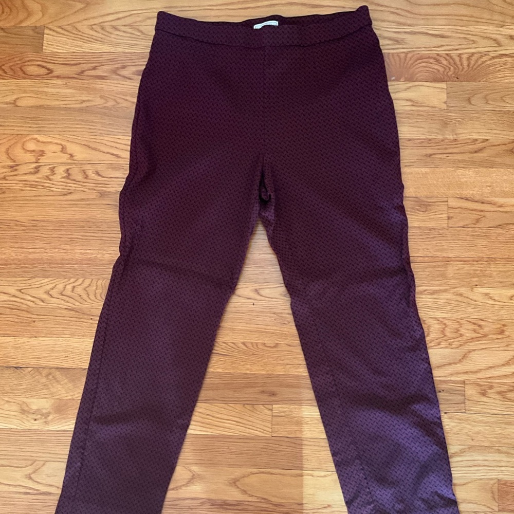 Size XL Dana Buchman elastic waist pants